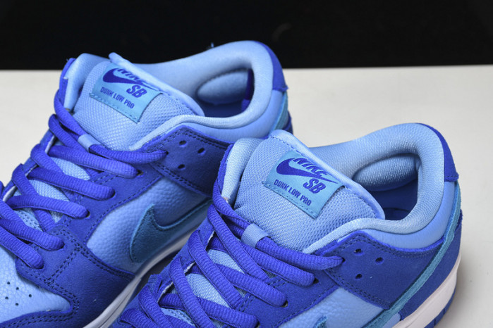 nike sb dunk low pro dm0807-400