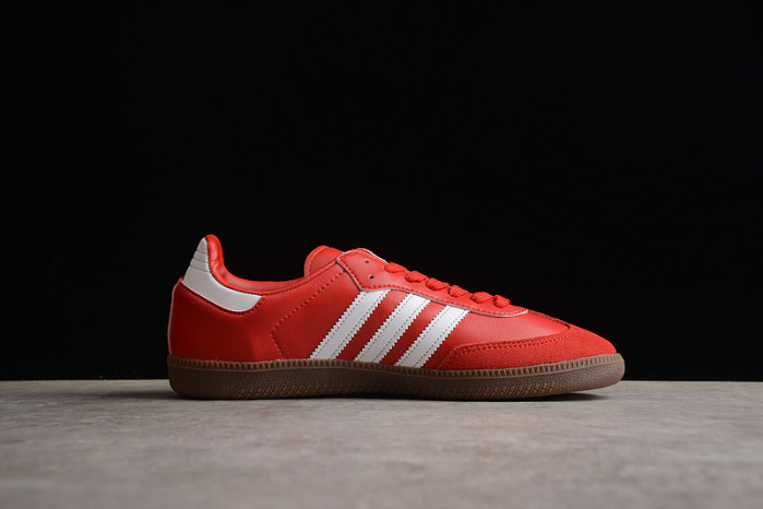 ad low-top sneaker 23031318