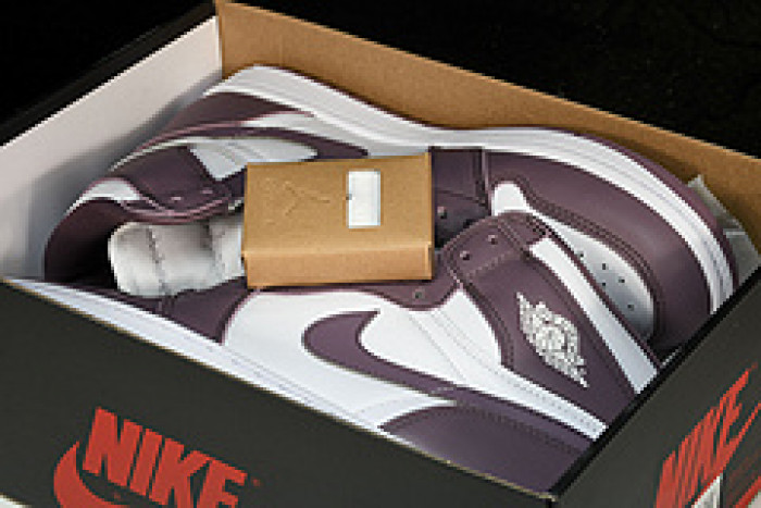 jordan 1 high og “mauve” dz5485-105