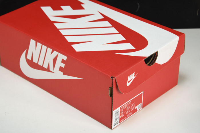 nike dunk light iron ore dq7576-001
