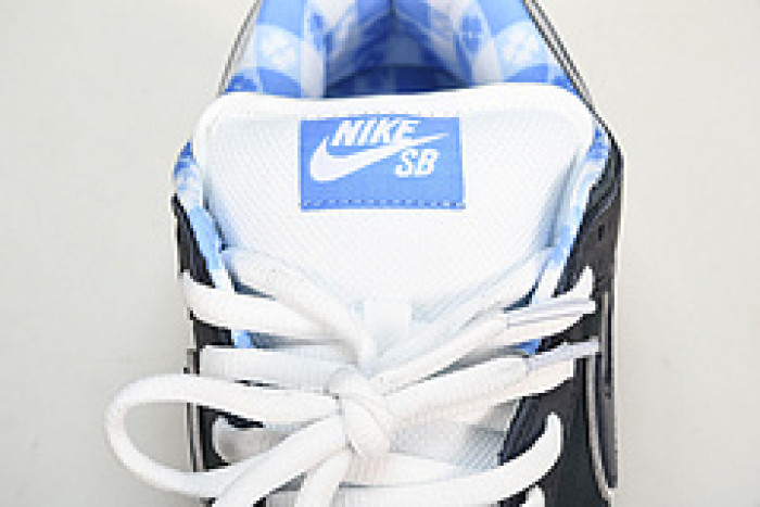 nike dunk sb low blue lobster 313170-342