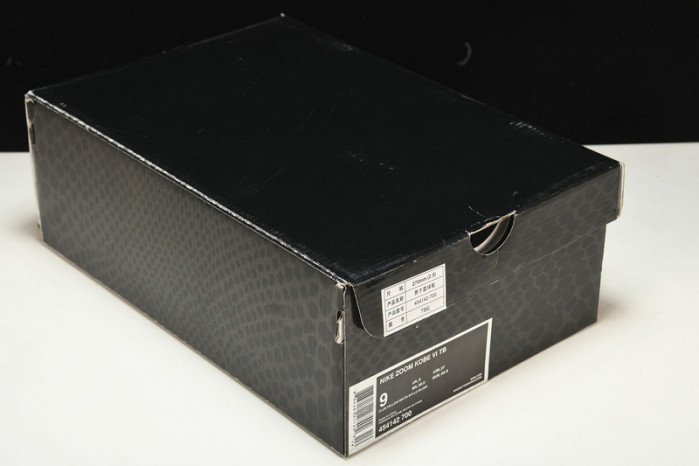 nike zoom kobe vi pe protro 6 454142-400