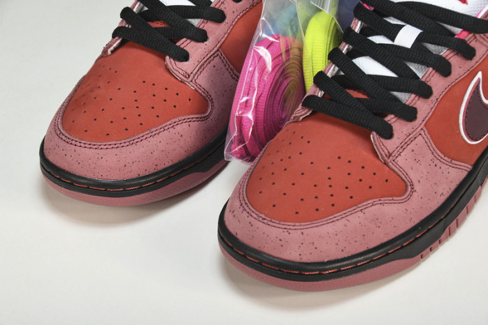 nike sb dunk low concepts red lobster 313170-661