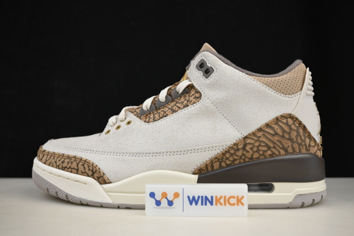 air jordan 3 "palomino" ct8532-102