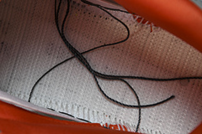 nike sb dunk low staple nyc pigeon 304292-011